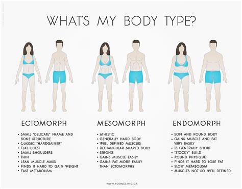 Endomorph body type vshred. Things To Know About Endomorph body type vshred. 